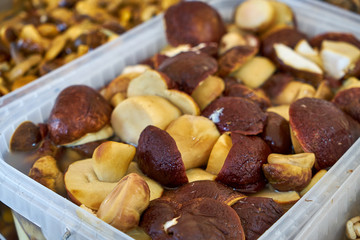 Image of salted mushrooms. Traditional Russian food.