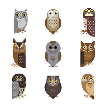 Vector owl characters set showing different species.