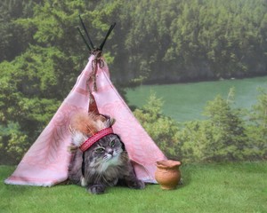 Kitty in costume Indian  near wigwam © Iryna