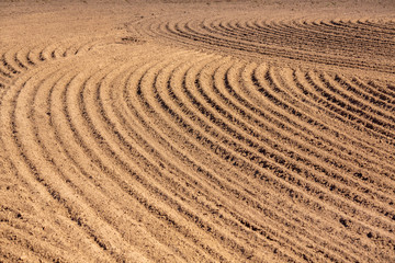 brown ground plowed field, harrow lines. Arable background. Pattern of curved ridges and furrows in a humic sandy field. A freshly ploughed field showing a geometric pattern of shadows in the furrows