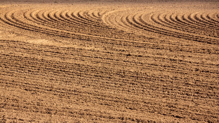 brown ground plowed field, harrow lines. Arable background. Pattern of curved ridges and furrows in...