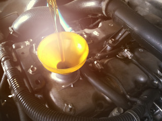 Oil change, by an expert car mechanic