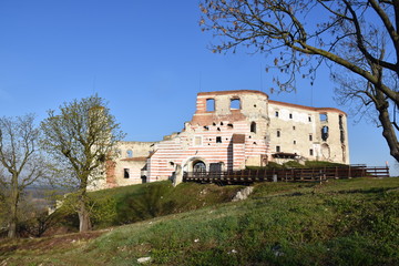 Zamek w Janowcu  © Albin Marciniak