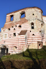 Zamek w Janowcu  © Albin Marciniak