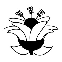 flower leaves nature