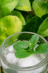 Mint tea with ice in time to relax.