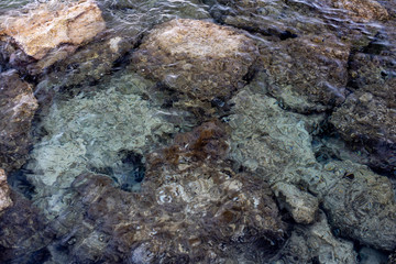 Fototapeta na wymiar Rocks in water. Smooth large stones in clear seawater. Abstract background. 
