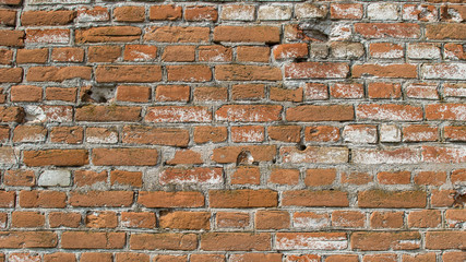 Brick wall close-up. Brick laying on cement mortar.
