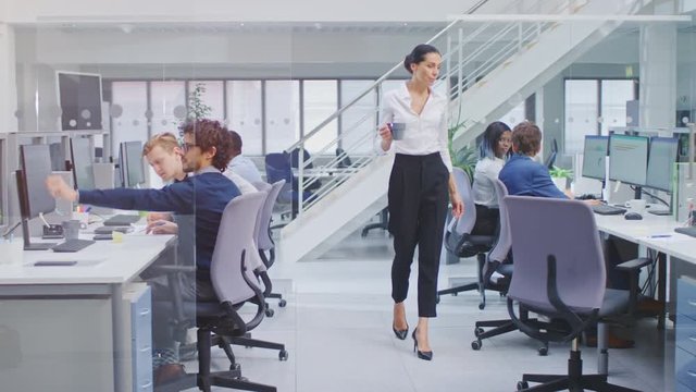 Diverse Team of Business Managers and Specialists Work on Desktop Computers with Two Rows of Tables Side by Side. Young and Motivated Business people in Modern Open Office.