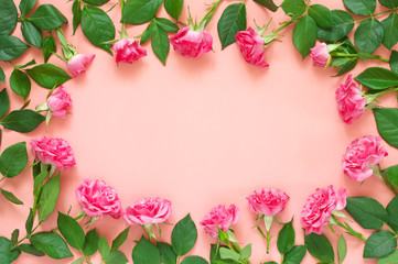 Rose flowers composition on pink background