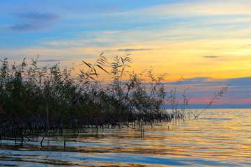Beautiful golden sunset over lake with silhouettes of reeds