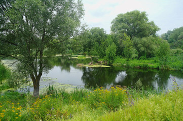 Fototapeta na wymiar Summer lake near the forest with trees.
