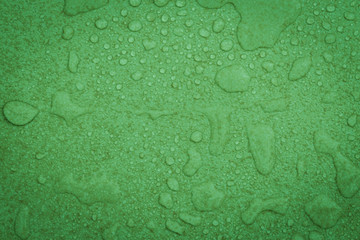 water drops on green