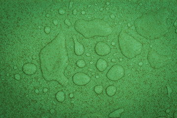 water drops on green