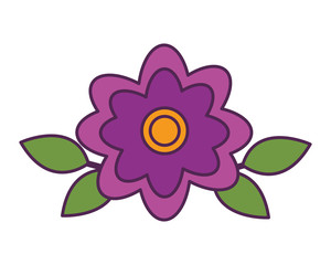 flowers leaves foliage