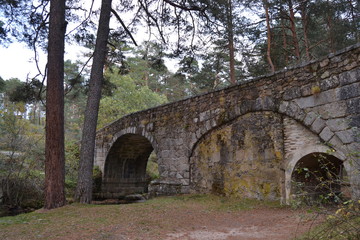 Puente de piedra en un sendero del bosque
