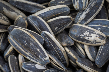 Sun flowers seeds