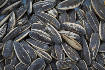 Sun flowers seeds