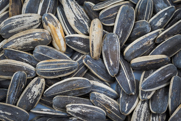 Sun flowers seeds