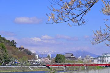 仙台市の広瀬橋付近より上流を望む