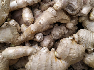 Ginger Root in the market. Closeup.