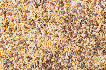 Mixed seeds gold and brown linseed, flax seed pattern   background.