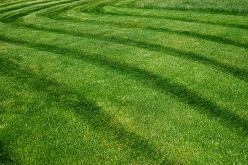 Striped pattern on a freshly cut grass field