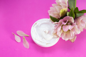  beautiful hellebore and  face cream  pink background.