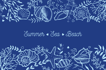 Seashells, seaweed and twigs on a dark blue background. Template for postcards, invitations.