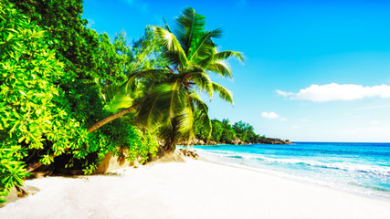 paradise beach on the seychelles 1