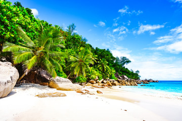 Obraz na płótnie Canvas paradise beach on the seychelles 9