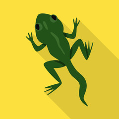 Vector illustration of toad and green logo. Collection of toad and toxic stock symbol for web.