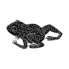 Isolated object of toad and yellow icon. Set of toad and rainforest stock vector illustration.