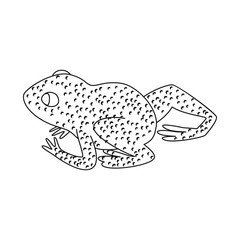 Isolated object of toad and yellow logo. Set of toad and rainforest vector icon for stock.