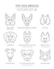 Top dog breeds. Hunting, shepherd and companion dogs set. Pet outline collection
