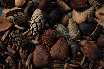 Pine cones and dry avocado bones in brown warm colors layered layer