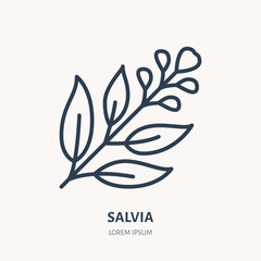 Fototapeta na wymiar Salvia, sage flat line icon. Medicinal plant leaves vector illustration. Thin sign for herbal medicine, tree branch logo