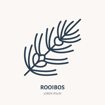 Rooibos Flat Line Icon. Medicinal Plant Leaves Vector Illustration. Thin Sign For Herbal Medicine, Tree Branch Logo