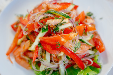 Vegetable salad on the white plate. Achik Chukchuk salad with tomatoes and onion.