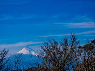 【静岡県伊豆半島】春の伊豆山稜線歩道から見る富士山【だるま山周辺】