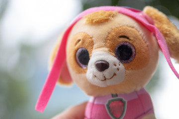 toy little dog with pink clothes
