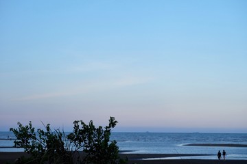 Silhouette tropical trees growing beside sea beach with a beautiful blue sky and travellers walking on the beach 