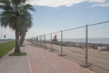 Embankment of Batumi with palm trees, bicycle path