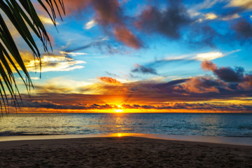 Fototapeta na wymiar looking through palm leaf at sunset at anse georgette,praslin,seychelles 13