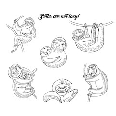 Sloths animals sketches. Hand Drawn Background 