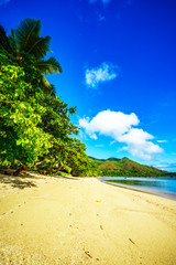 golden paradise beach at anse possession, praslin, seychelles 3