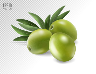 Green olives and leaves isolated on transparent background. Photo-realistic vector, 3d