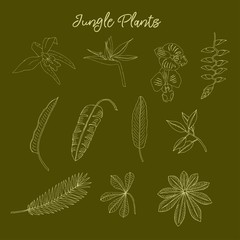 Jungle plants sketches. Hand Drawn Background