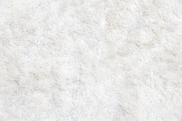 White fur background close up view