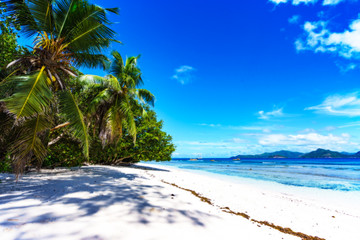Palm trees, white sand and turquoise water at the beach of anse severe, la digue, seychelles 1